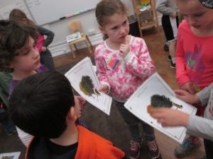 Students compare notes as they study the different trees of Rock Creek Park.