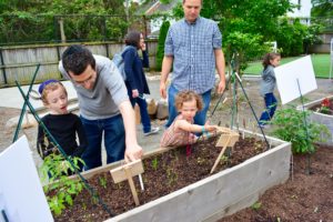 Kindergarten students take their parents on a tour of the garden they planted to attract social insects.