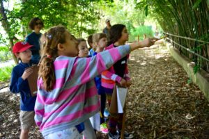 A student eagerly points at an animal through a screen of bamboo.