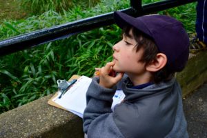 A student observes the animals at the National Zoo.