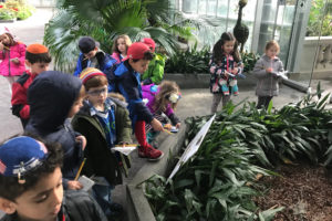 Students visit the Botanic Gardens to learn how museums display different types of information.