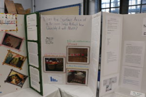 Shoshana's project board, titled "Does the Surface Area of a Frozen Solid Affect How Quickly it will Melt?"