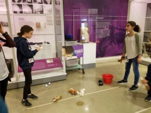 Sixth graders conduct an experiment on brain plasticity.