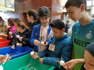 Sixth graders build models of neurons using styrofoam, pipe cleaners, and beads.